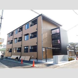 シーシェルの画像
