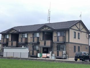 やまと平面の画像