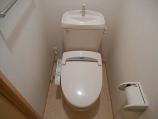 ソレアードVの画像