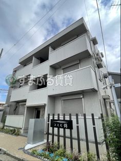 コスモ錦の画像