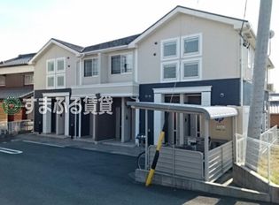 セラー養神の画像