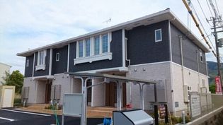 ストレリチアの画像