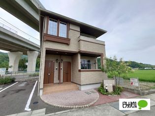 彩の画像