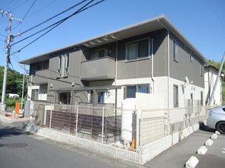 モッペルの画像