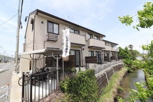ソフィアこまちの画像