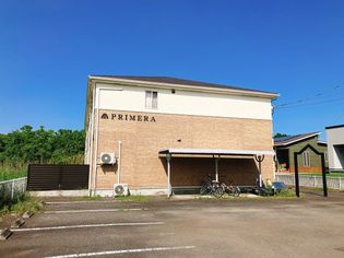 プリメーラの画像