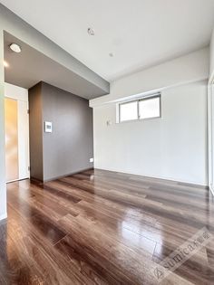 KAUNIS HIRANOの画像