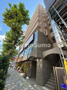 フェルテ髙波の画像