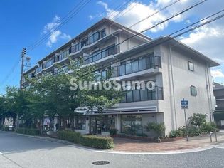 芦屋川ビューハイツの画像