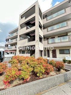 ハイツ山手の画像