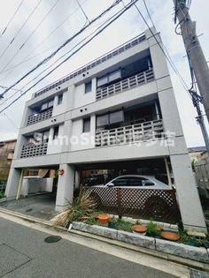 エオリアーナの画像