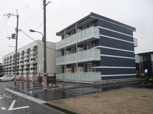 レオネクストシャルマンIIIの画像