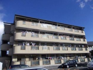 アレーゼFの画像