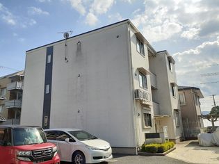 グレイス パールの画像