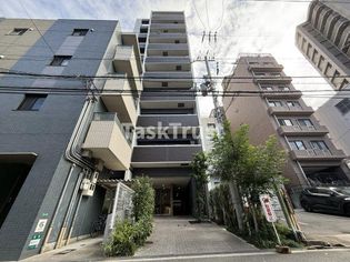 プラチナコートの画像