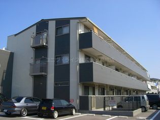 レクエルド藤の画像