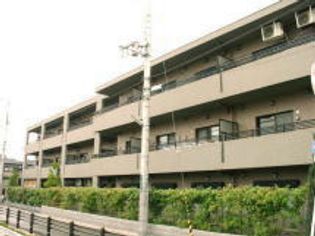 グリーンクローバーの画像