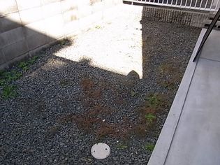 ワイズベルドミールの画像