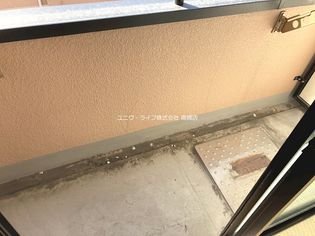 パルウェーブの画像