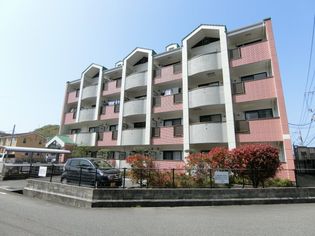 シャンポールAの画像