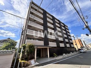 スプルース・ティカの画像