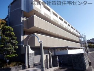 カーサー川口の画像