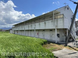 グリーンフルあるの画像
