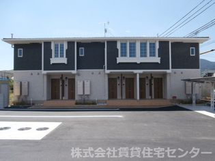 ストレリチアの画像