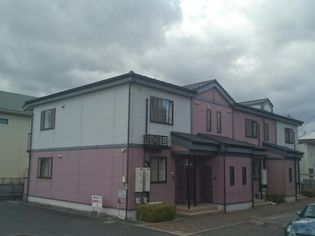 サンスタレ Sの画像