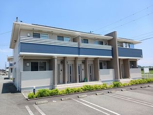 プリマベーラ Dの画像