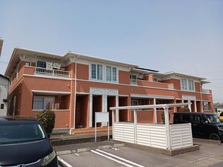 アプリコット・サン Bの画像