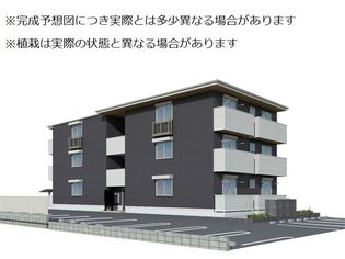 セレノアールBの画像