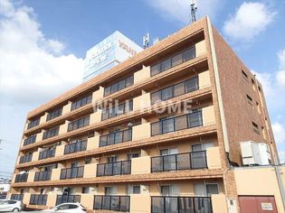 ローパス三葛の画像