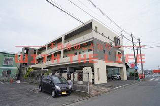 カドルの画像