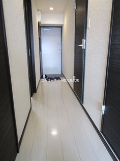 ユーミー ベイブリッジの画像