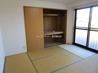 アムールFの画像