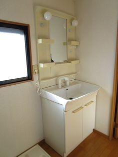 アムールFの画像