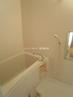 アムールFの画像