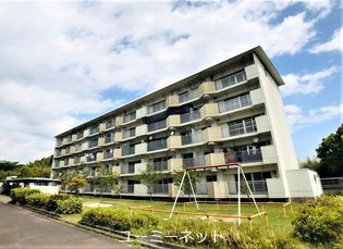 鹿児島県姶良市加治木町小山田の賃貸マンションの画像