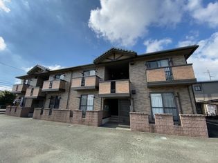 カメリアIIIの画像