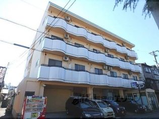 ビラデリンネの画像