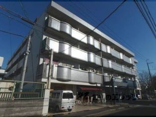 第二グレース安田の画像