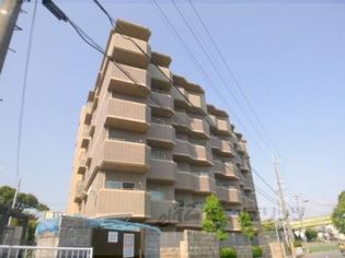 サン・フローラの画像