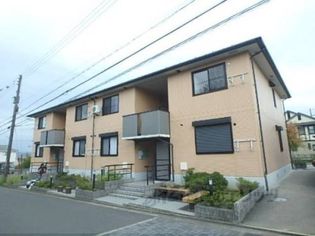 グリーンパークニレの木の画像