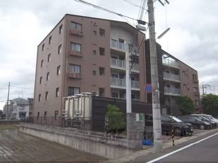 ステイウィズKの画像