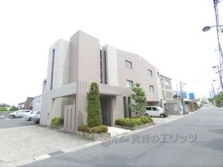 ローズソレーユの画像