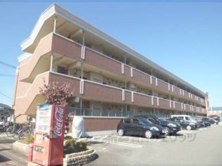 シャルマン小野の画像