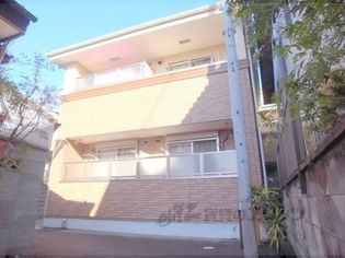 クリザンテーム山本?の画像