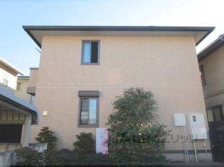 ミュルサンヌ桜の画像