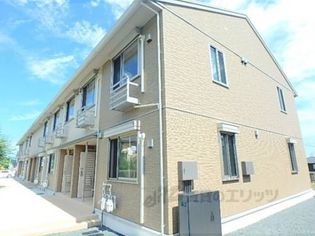 ガーデンライラックの画像